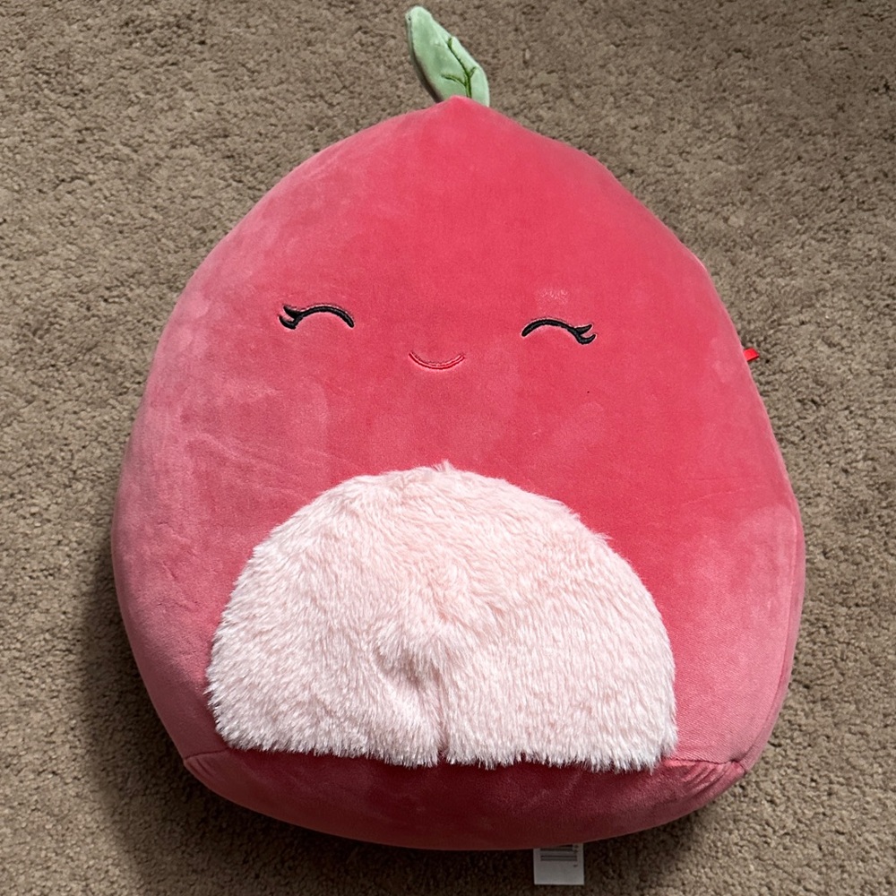 Squishmallows Pink and Green Pillow